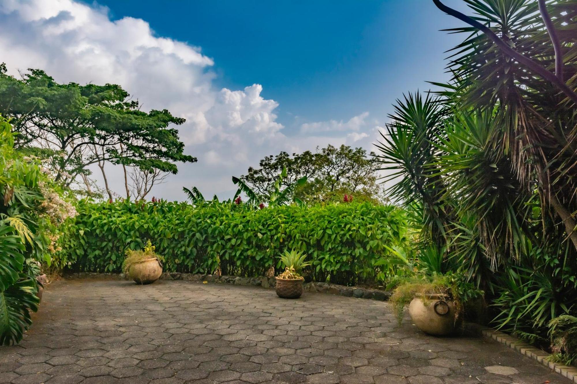 Finca Rosa Blanca Coffee Farm And Inn Heredia Dış mekan fotoğraf